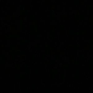 Meet your Posher, Logan